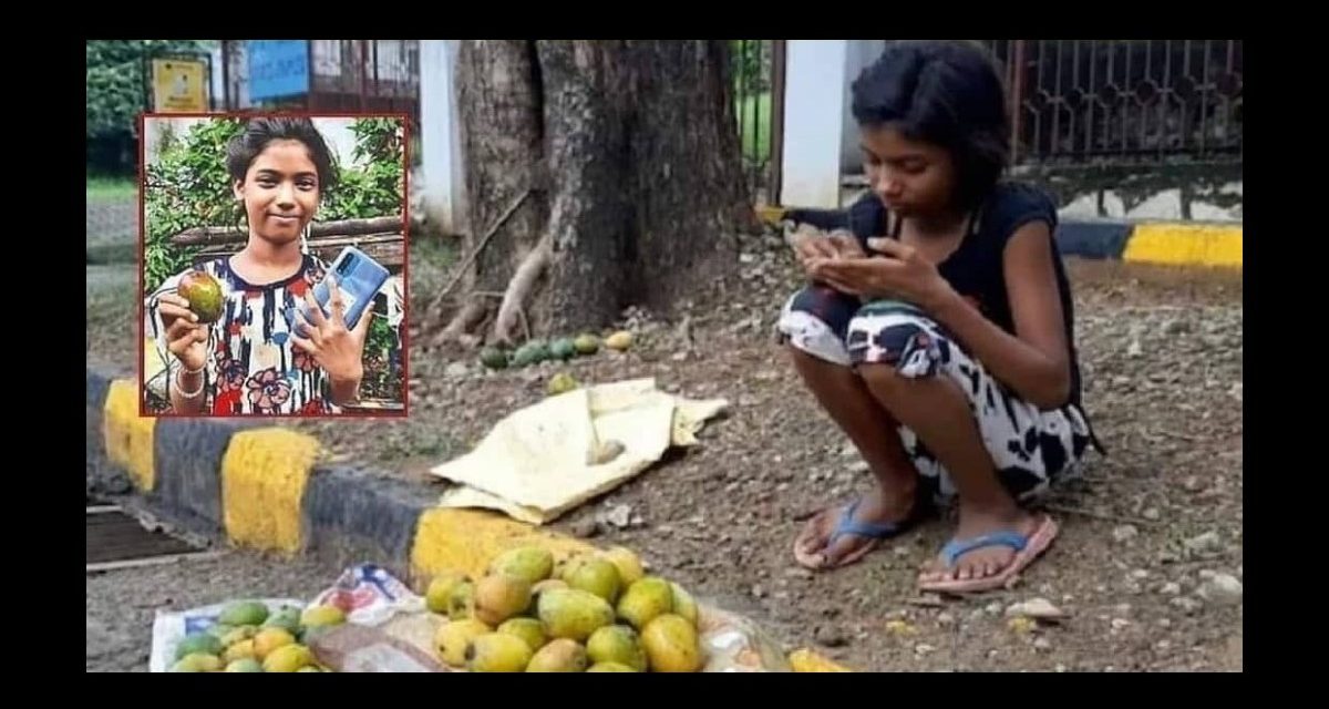 11-year-old Tulsi Kumari Sells Mangoes Worth Rs 1.2 Lakh, Gets Smartphone to Get Online Education