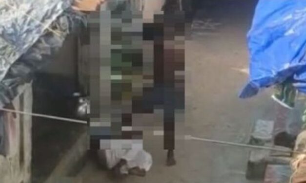 Andhra Pradesh: Drunk Man Kicks & Thrashes Mother for Refusing to Give Money | Video