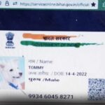 Bihar Dog Named “Tommy” Applies for Caste Certificate in Gaya, Cops Look for Accused Pranksters