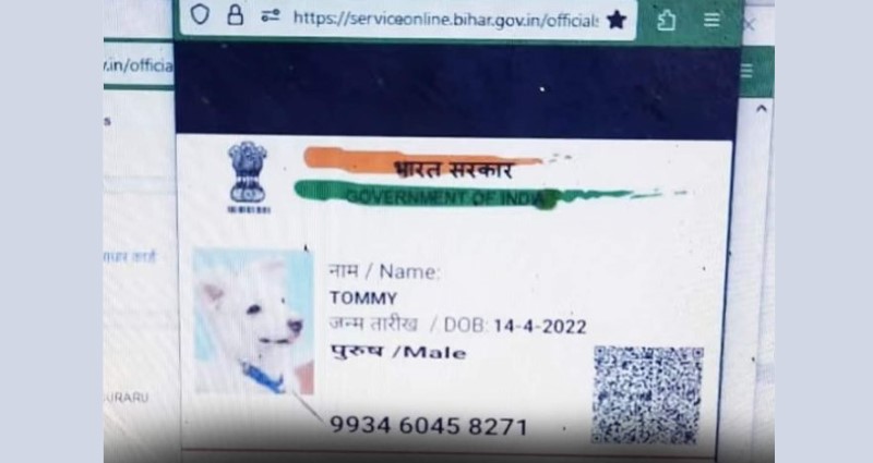 Bihar Dog Named “Tommy” Applies for Caste Certificate in Gaya, Cops Look for Accused Pranksters