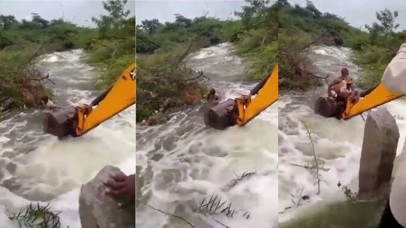Caught on Cam: Telangana State Guard Employee Puts Life on Line to Save Dog from Flooding Stream