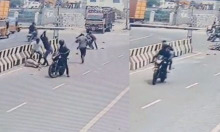 Caught on Cam: Chennai Man with 6 Pending Cases Stabbed by 4-Member Gang in Broad Daylight