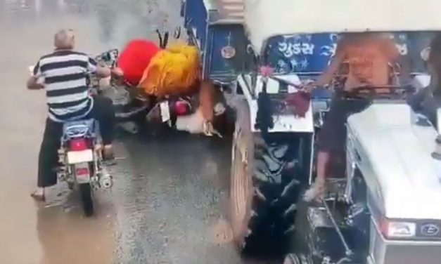 Caught in Cam: Helmet Miraculously Saves Life as Trolly Wheel Goes Over Man’s Head