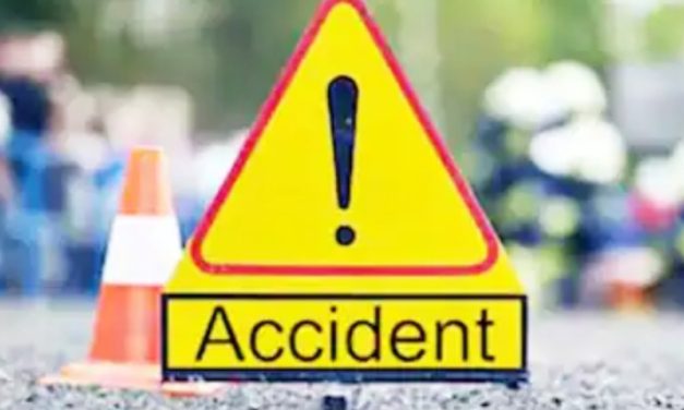 Delhi: 2 Children Dead, 8 Injured in Car Accident, “Was testing speed” says 27 Yr Old BMW Driver