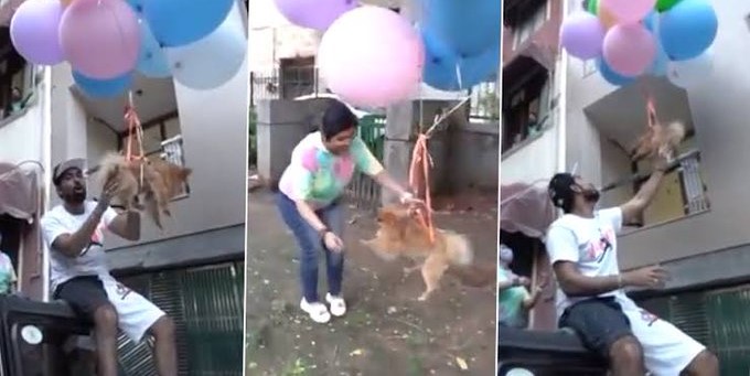 Delhi-based YouTuber ties pet dog with balloons to make it ‘fly’, Arrested for animal cruelty