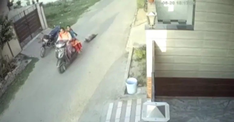 Caught on Cam: 2 Patiala Women Tie Dog to Scooty and Drag it on Road Inhumanely