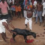 Andhra Pradesh: During Animal Sacrifice, Drunk Man Slaughters Man Who Was Holding the Sacrificial Goat