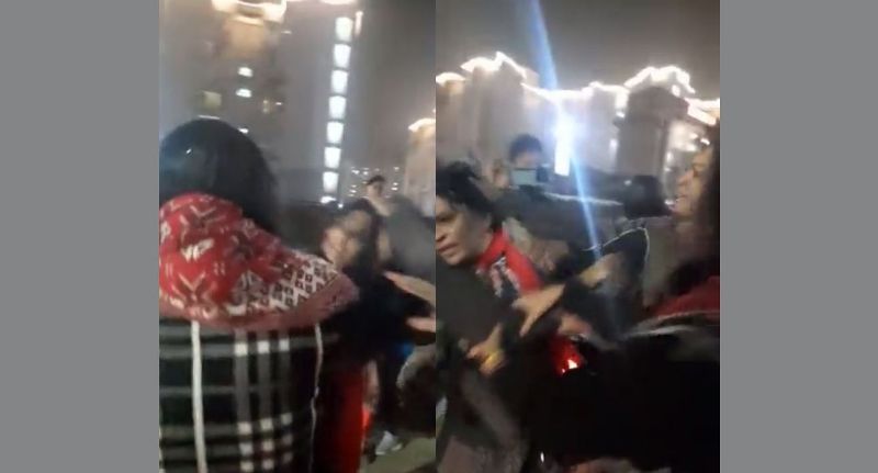 Ghaziabad: Woman NGO Worker Thrashed by Group of Women for Objecting to Stray Dog Removal | Video