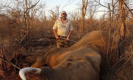 “Hunter Gets Hunted”: Trophy Hunter Who Killed Dozens of Animals, Including Lions & Elephants, Murdered