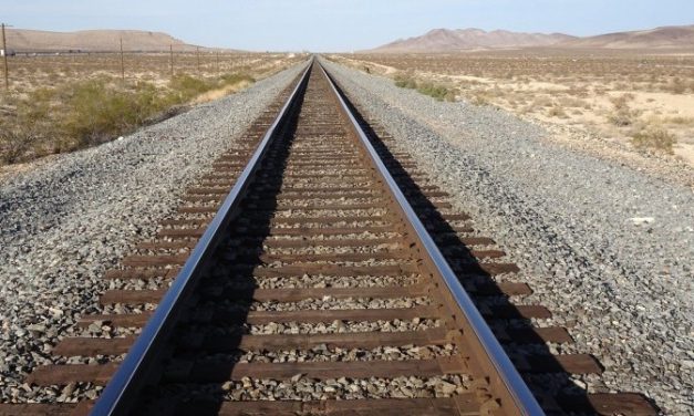 Hyderabad Rape Case: Accused Found Dead on Railway Tracks After Minister’s ‘Encounter’ Warning