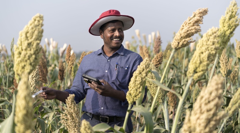 Indian Scientist Dr. Mahalingam Govindaraj Wins Norman E Borlaug Award for Developing World’s First Bio-fortified Pearl Millet