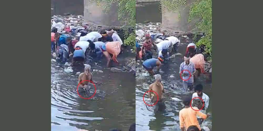 Video of People Taking Away Money From Rohtas Drain in Bihar Goes Viral