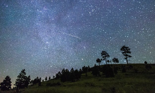 Perseids Meteor Shower – Here’s How You Can See Up to 50 Shooting Stars in Coming Weeks