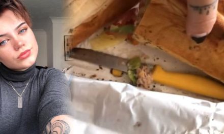 Pregnant Woman Left Horrified As She Finds Knife in Subway Sandwich, Video Goes Viral