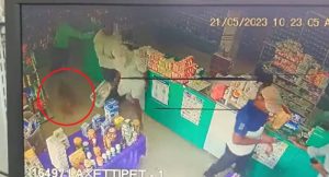 Revenge of the Apes – Video Shows Monkeys Wreaking Havoc at Telangana Store to Take Vengeance