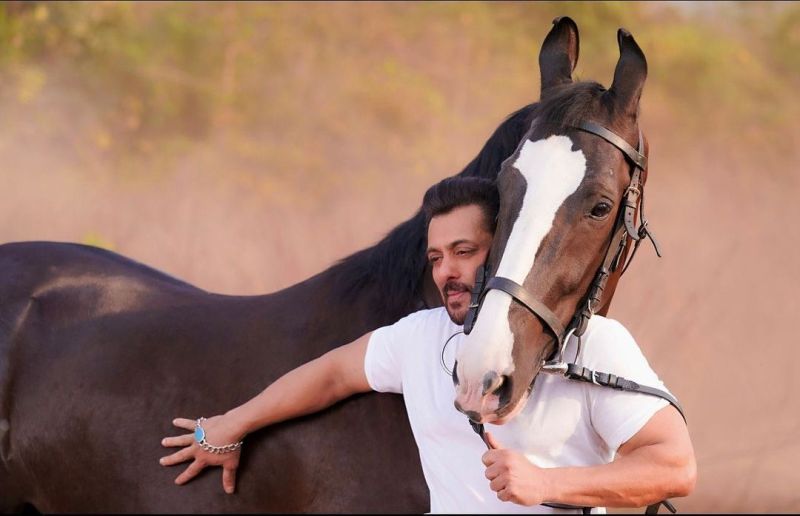 Salman Khan Files Defamation Case Against Panvel Farmhouse Neighbour
