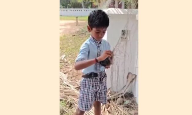 Schoolboy Rescues Crow Trapped in Net, Touching Hearts of Netizens