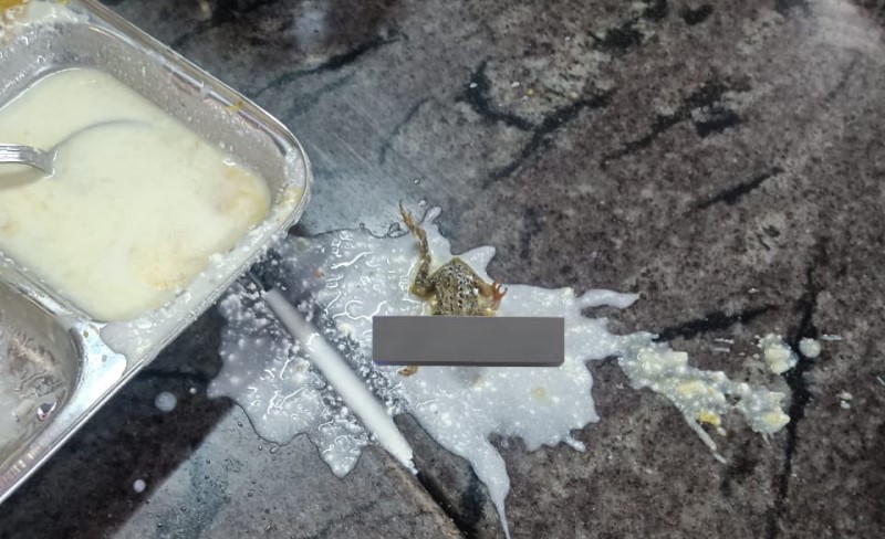 Student Finds Dead Frog in Hostel Food at KIIT Bhubaneswar, Raises Concern Over Hygiene
