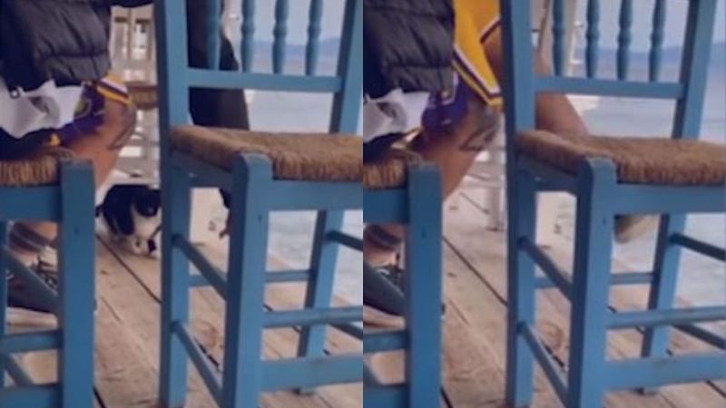 Triggering YouTube Video Shows Heartless Greek Man Luring Cat with Food & Kicking it into Sea