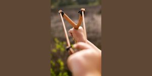 US Teen Who Used Slingshot to Save 8-Year-Old Sister from Being Kidnapped