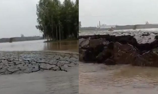 Viral Video of Land Rising Above Water in Haryana Leaves Netizens Shocked and Speculating