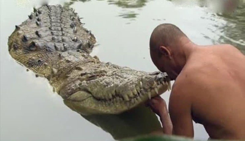 ‘Babiya’ the “Vegetarian Crocodile” Who Ate Kerala Temple Prasad Accorded Bhu Samadhi